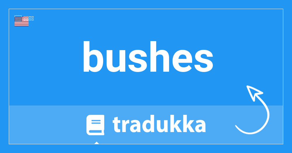 Bushesとは何ですか Tradukka
